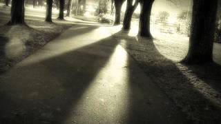 Puressence - Casting lazy shadows (acoustic)