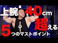 【筋トレ】上腕40cmを超えるための5つのマストポイント