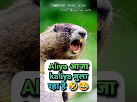 Aliya aaja kaliya 😂🤣 #trendingshorts #funny #viralvideo#youtubeshorts
