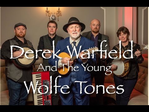 The Fields Of Athenry by Derek Warfield & The Young Wolfe Tones