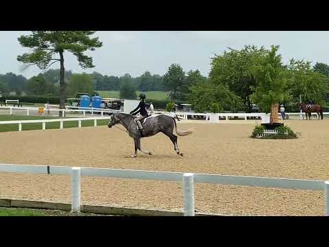 Spiegelmoon video 1