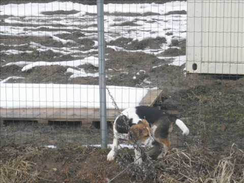 Michal Tučný - dávej vinu dálkám.wmv