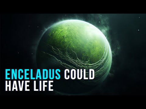 Saturn s Moon Enceladus Could Have Signs Of Life