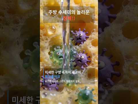 주방 수세미의 놀라운 정체!!