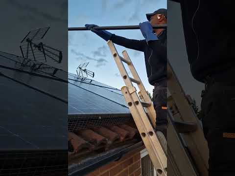 Tito Window Cleaning Services video.