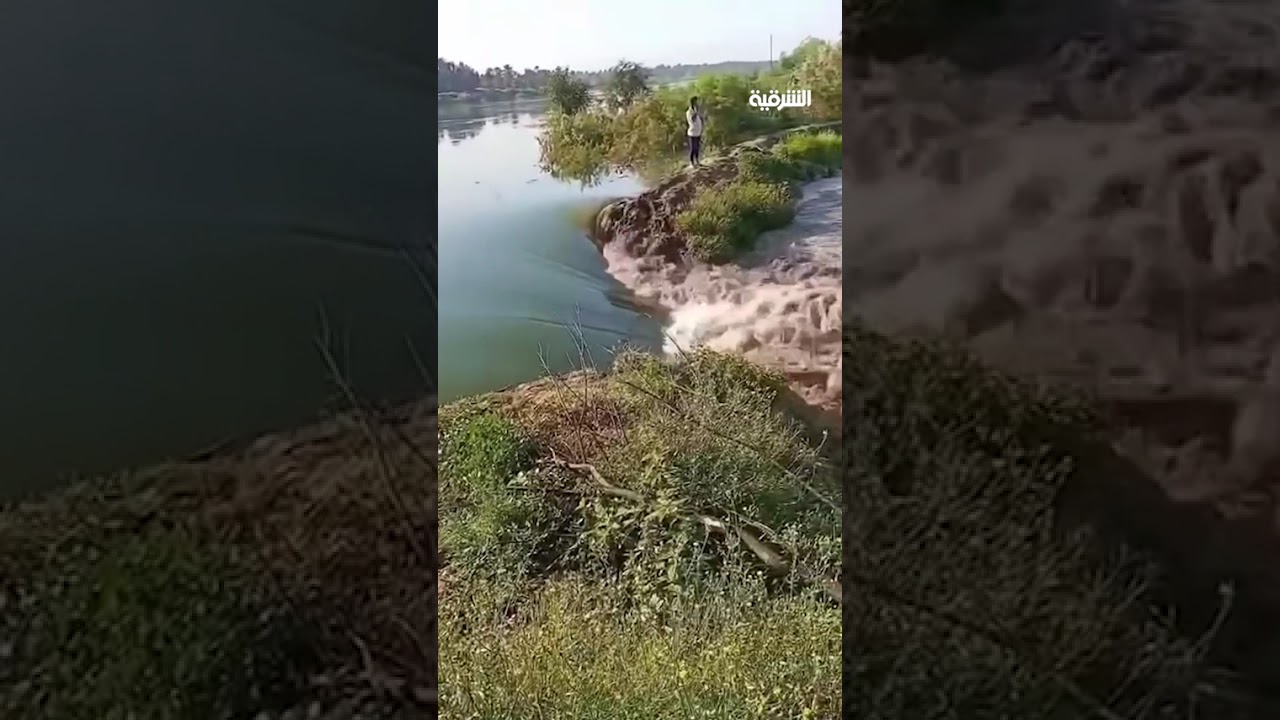 فيديو | فيضان نهر ديالى باتجاه البساتين والأراضي الزراعية
