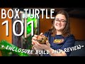 Box Turtle Care Guide Box Turtle Enclosure Build Are Amazon Tortoise Enclosures Any Good