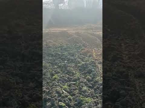 Plots bypass dadri on road