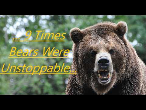 Scary Bear Attacks: An Hour Of The Most Frightening Bear Attacks