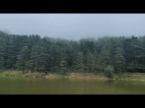 Dal Lake McLeodganj | Hidden Peaceful Lake in Dharamshala 🌿