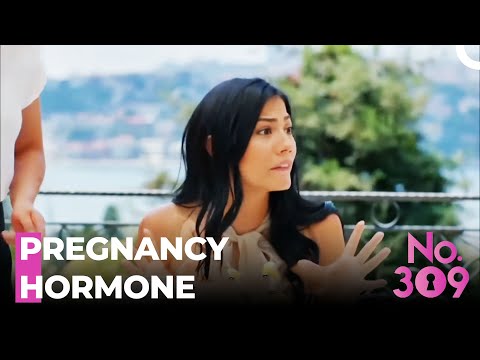 Lale Craves For Plums  - No.309