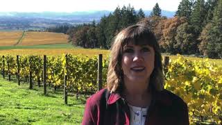 NW Wine Shuttle - How It Works