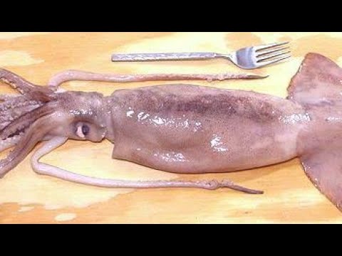 Amazing Giant Squid Cutting and Processing Skill - Amazing Fastest Squid Catching on the Sea