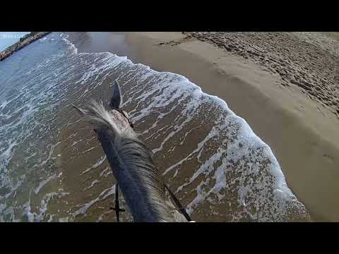 Wolantes Waheed at the beach nov 2016