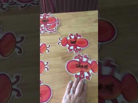 EL152, final video presentation