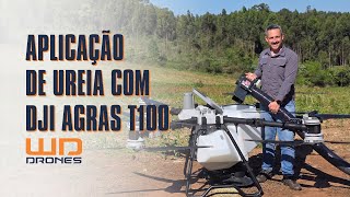 Applying Urea to Corn with the DJI AGRAS T100 Drone and the JR Soluções Solids Feeder