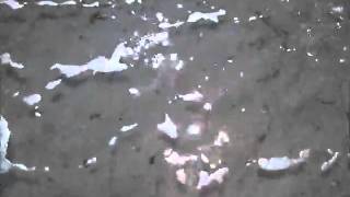 Mumford &amp; Sons - Feel the Tide