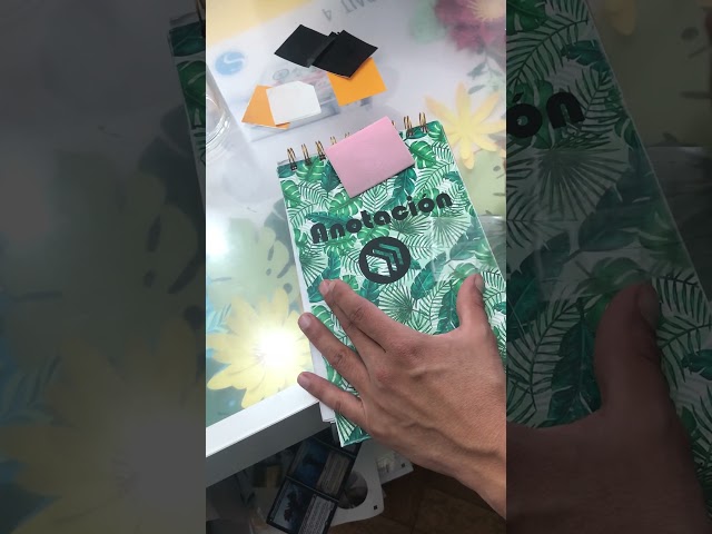 Vídeo relacionado con JIFENLI Pegatinas Para Automóviles 12Cmx18Cm Vulture Vinilo Pegatina Balck/Sliver Accesorios De Calcomanía