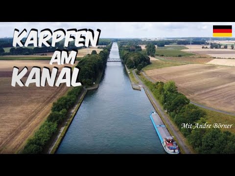 Karpfenangeln am Kanal mit Andre Börner. (Deutsch)