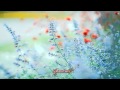 Beautiful Sad-Han Soo Ji 