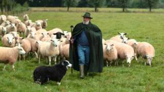 Tek Houkes - De Herder video