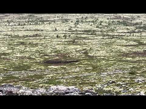 Reinsjakta har startet. Stang ut første helgen.