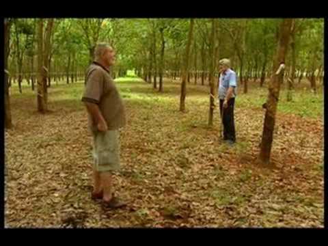 Battle of Long Tan - 60 Minutes Post Script Story - Vietnam War