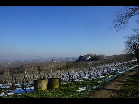 CP 1277 San Michele, Nizza Monferrato