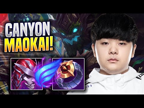 CANYON CHILLING WITH MAOKAI! - DK Canyon Plays Maokai JUNGLE vs Ekko! | Season 2023