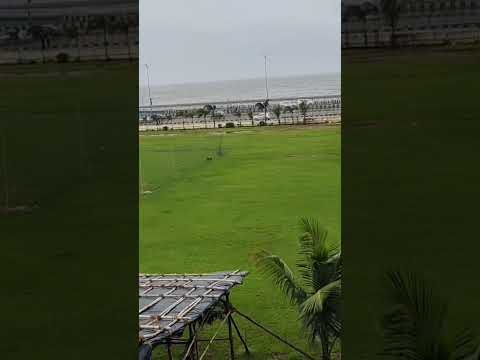 saiyaara #saiyaara #song #nature #naturelovers #naturephotography