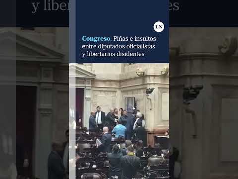 Piñas e insultos entre diputados oficialistas y libertarios disidentes dentro del Congreso
