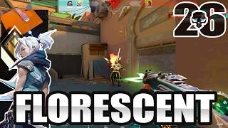 florescent Jett Bind STRETCH RES GOAT