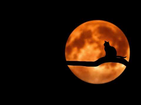 ignja - sjediosamzamišljen