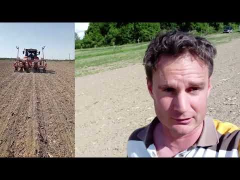 Szójanapló 4. rész Különböző sortávok előnyei, hátrányai