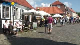 preview picture of video 'Ferienhäuser Ebeltoft Dänemark - Feline Holidays'