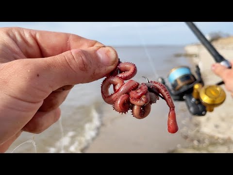 Catching the Fish of a Lifetime from the Delaware River! Trophy Striped Bass!
