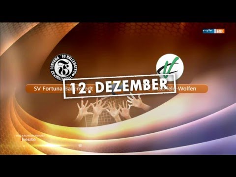 Volleyball Skandal Sachsen-Anhalt 2016 Teil I