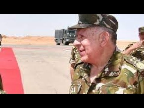 شنڨريحه يحذر و الشعب لم يجد شكارة حليب و لا كيلو سميد