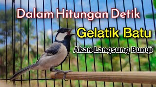 Download lagu MASTERAN GELATIK BATU GACOR UNTUK MEMANCING BUNYI GELATIK BATU MALAS BUNYI DAN BAKALAN PASTI AMPUH mp3