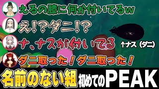 全員初見で山に挑みダニに噛まれる 名前のない組PEAK  えるえる視点ここ好きまとめ【える/シスター・クレア/ドーラ/花畑チャイカ/にじさんじ/切り抜き】