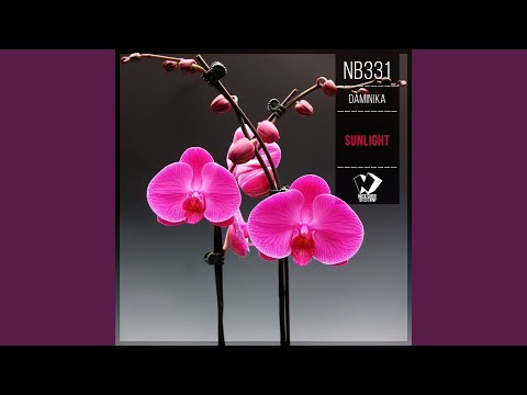 Sunlight (Original Mix)