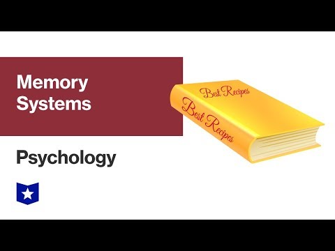 Memory Systems | Psychology
