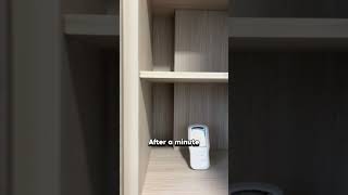 Low Formaldehyde Plywood Spot Test  Safe Indoor Air Quality  #9creation #sghome #sgreno #sginterior