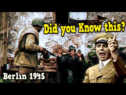 6 Shocking Facts About the Battle of Seelow and Berlin 1945 | Luftwaffe, Seydlitz, Dogs, Steiner...