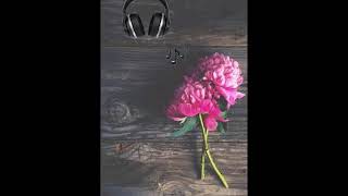 YALIN - Sensiz Olmaz