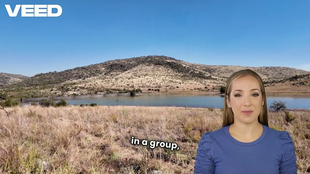 Single Video thumbnail