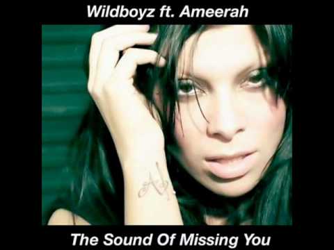 Wildboyz ft. Ameerah - The Sound Of Missing You (original remix)