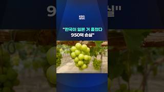 "한국이 일본 거 훔쳤다…950억 손실" #shorts / KBS