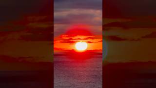 Royal Caribbean l Ovation of The Sea l Gorgeous sunset scene l Cảnh hoàng hôn hiếm có ở đại dương