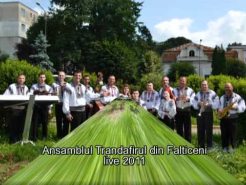 Ansamblul Trandafirul din Falticeni